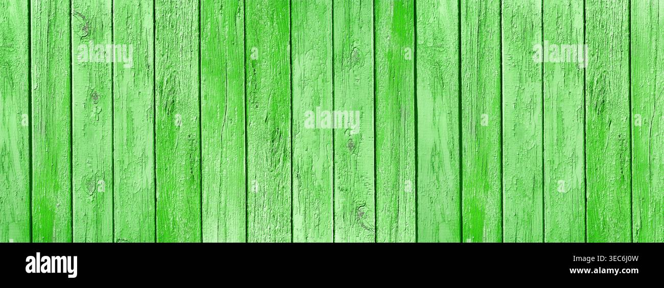 Old wooden boards with weathered bright green grass color paint wide texture. Shabby wood plank rustic vintage background Stock Photo