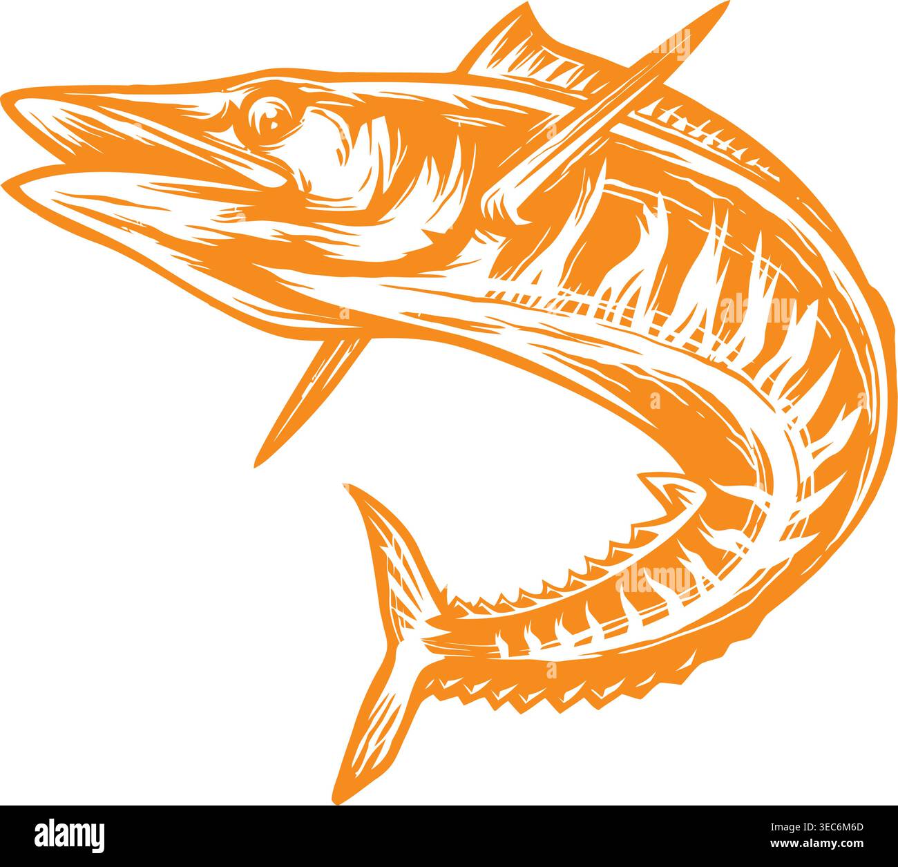 Orange Barracuda Fish Illustration Stock Vector