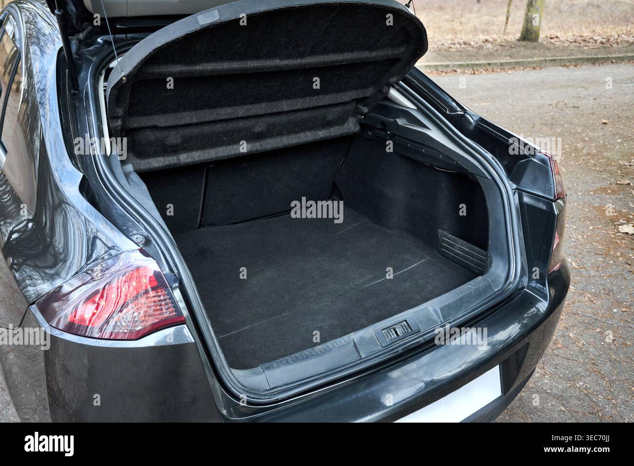 Hatchback car trunk open. Modern vehicle have opened trunk. Rear view ...