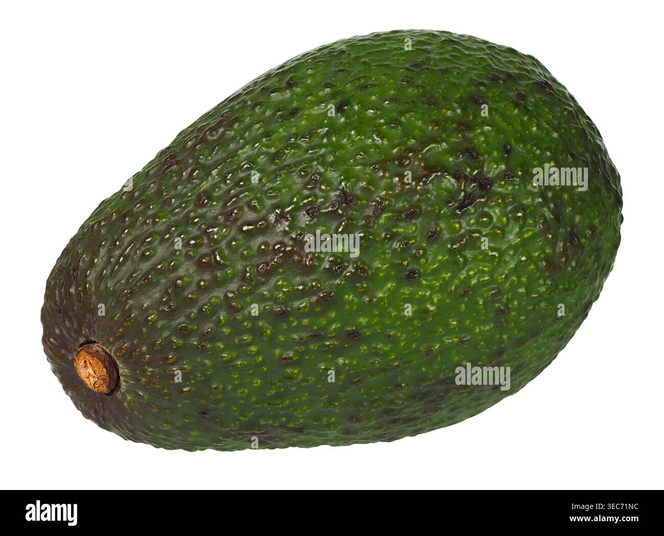 Avocado fruit isolated on white background Stock Photo