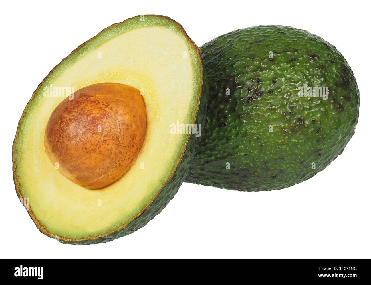 Avocado fruit isolated on white background Stock Photo