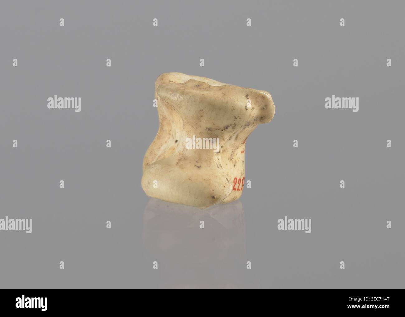 Displays subtle surface dents hi-res stock photography and images - Alamy