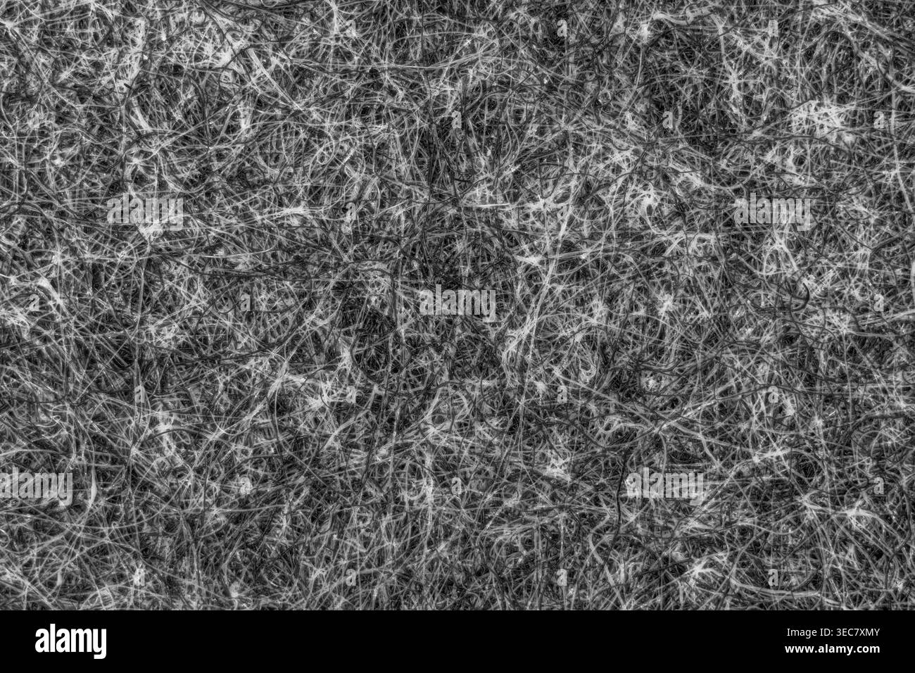 Fibers are piled together creating a thick mass. Light filters through ...