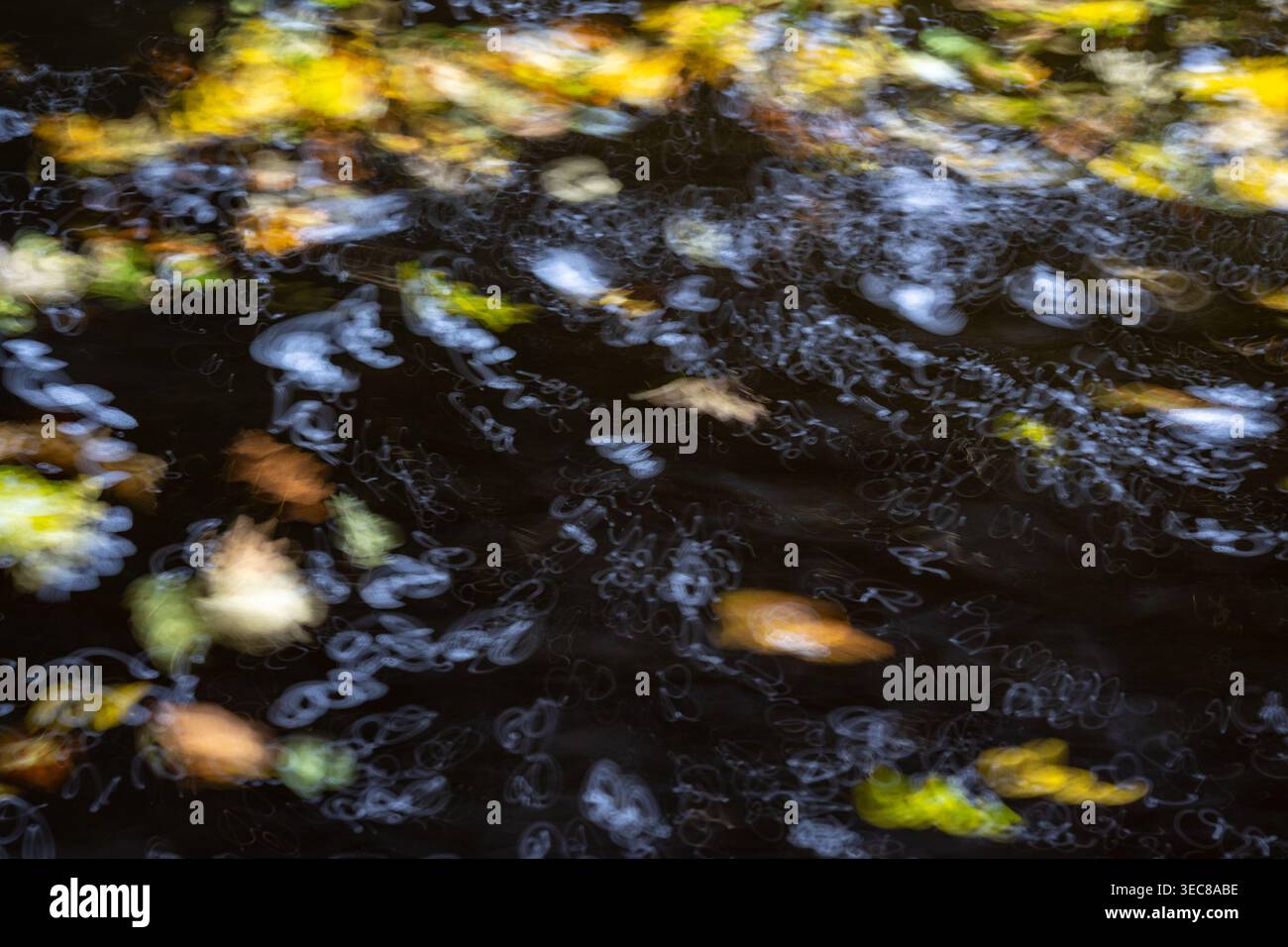 Abstract of fallen autumn leaves swirling on dark moving water creating a colourful impressionistic pattern Stock Photo