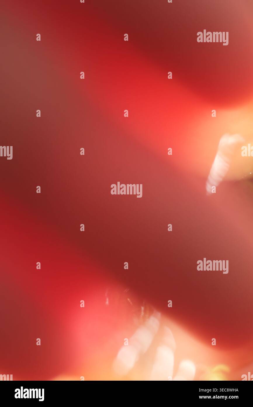 Red abstract blur background with light leak effect, soft gradient texture Stock Photo