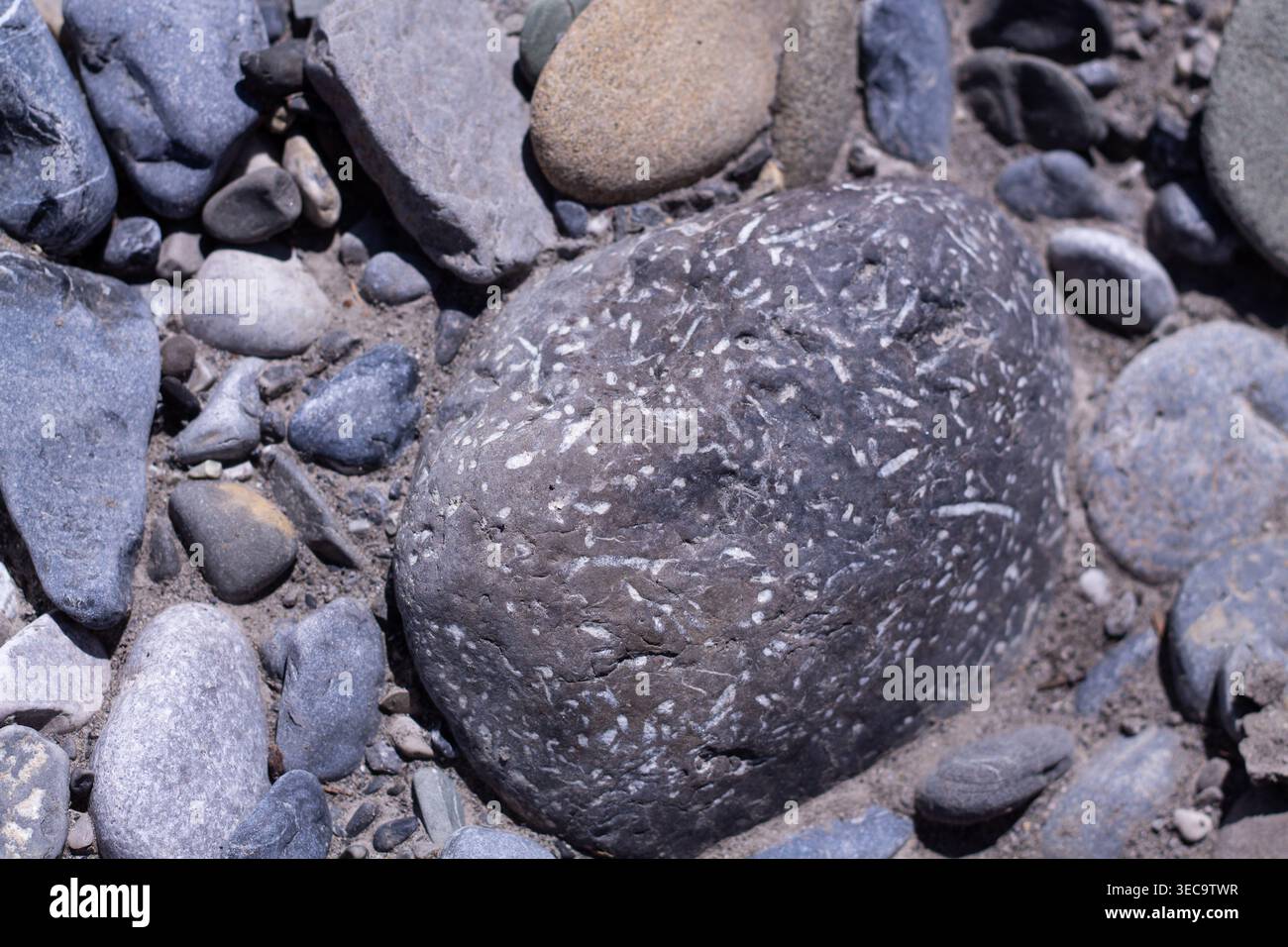Riverbed Rocks Along Bighorn River Stock Photo