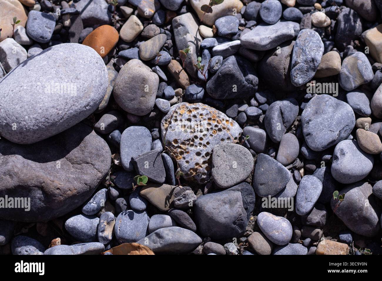 Riverbed Stones Along Bighorn River Stock Photo