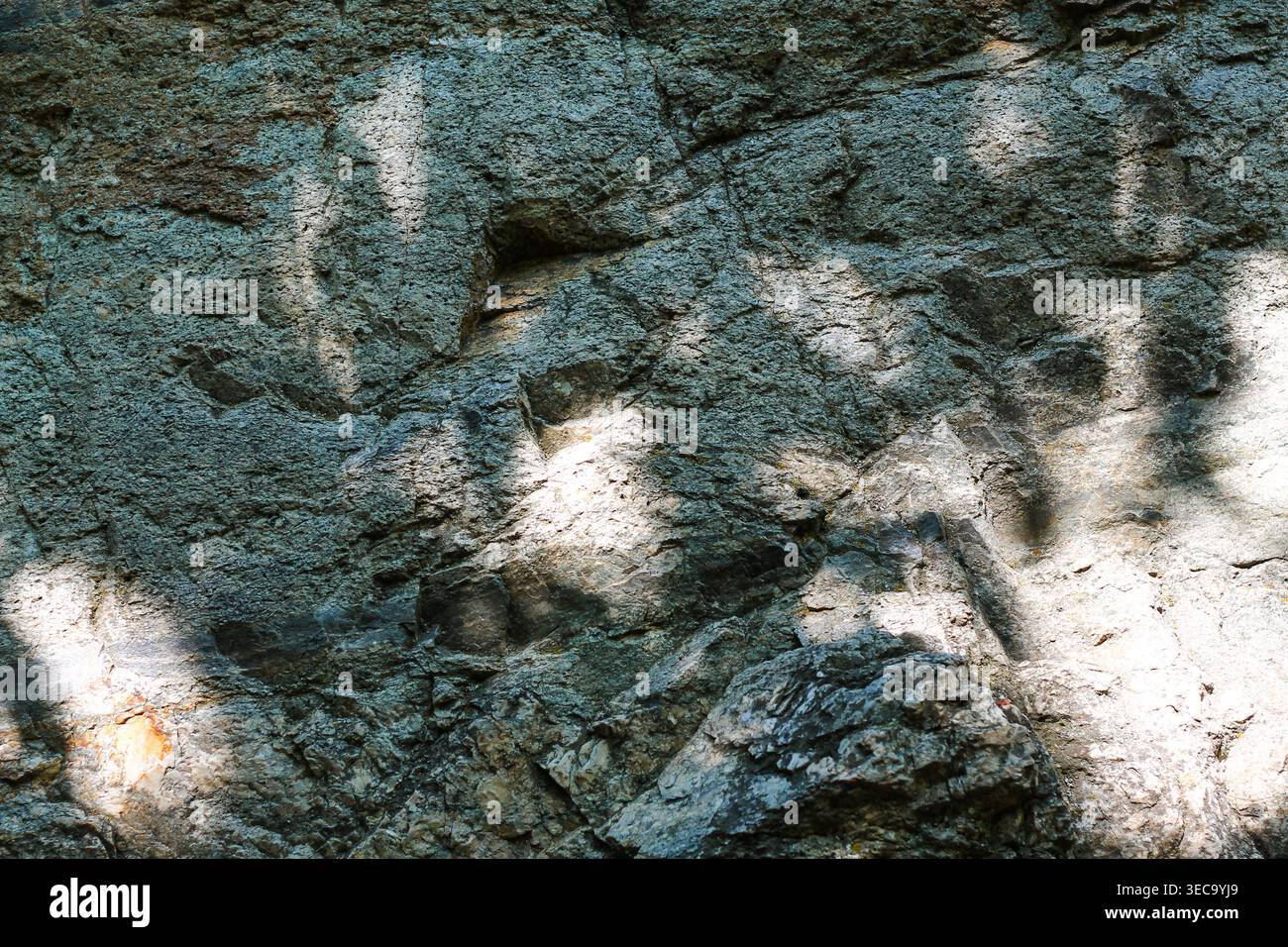 Sun Dappled Rock Face In The Bluffs Stock Photo