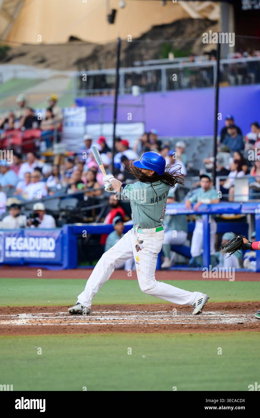 A baseball pitcher in action Stock Photo