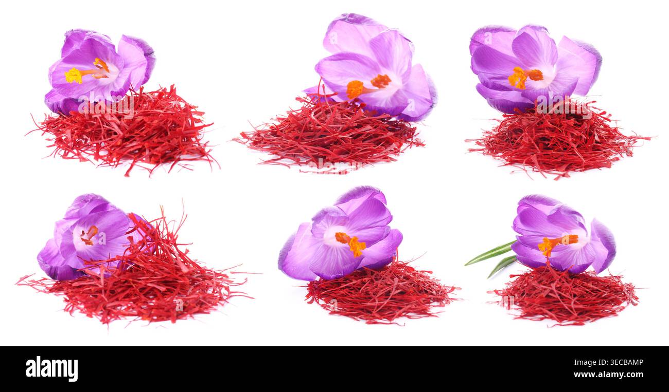 Saffron and crocus flowers isolated on white, set Stock Photo