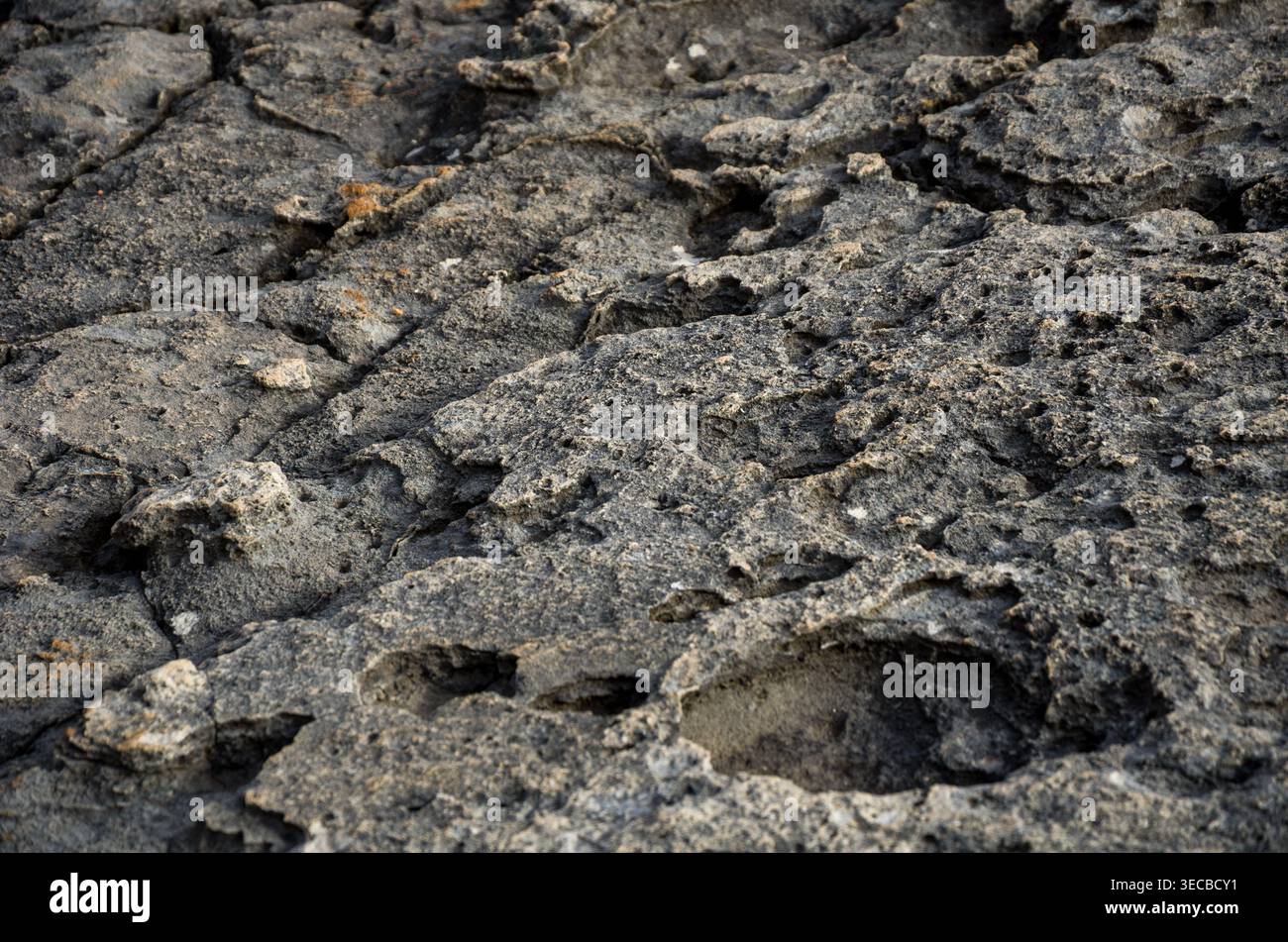 Close-Up of Rough Textured Rock Surface Stock Photo