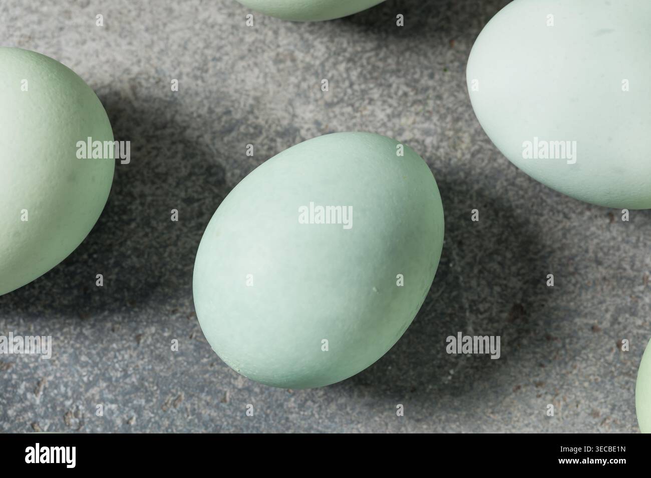 Raw Organic Blue Green Eggs Ready to Cook in a Bowl Stock Photo