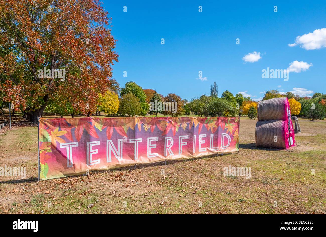 Hay Bale competition  in Tenterfield Stock Photo