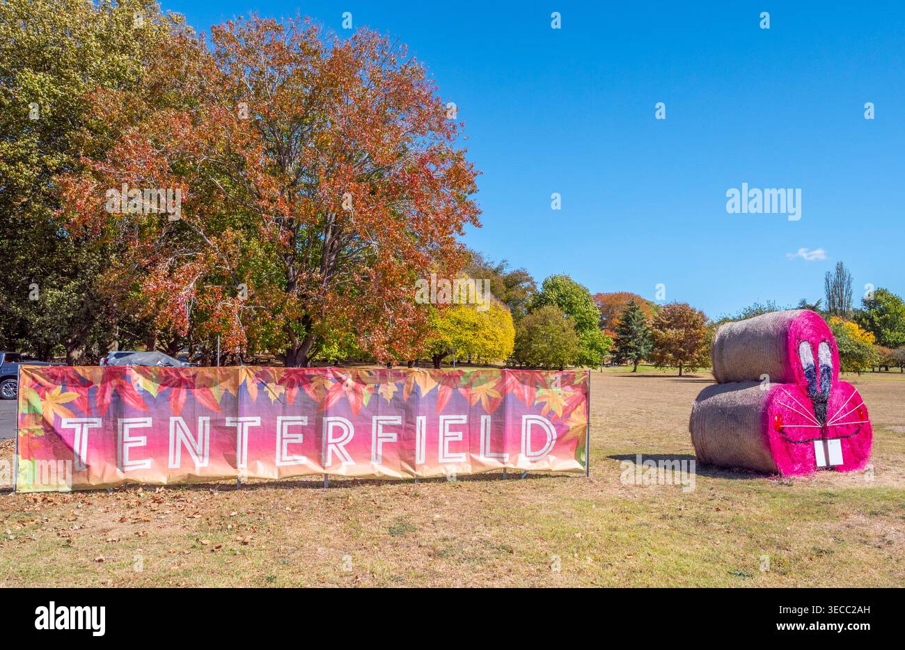 Hay Bale competition  in Tenterfield Stock Photo