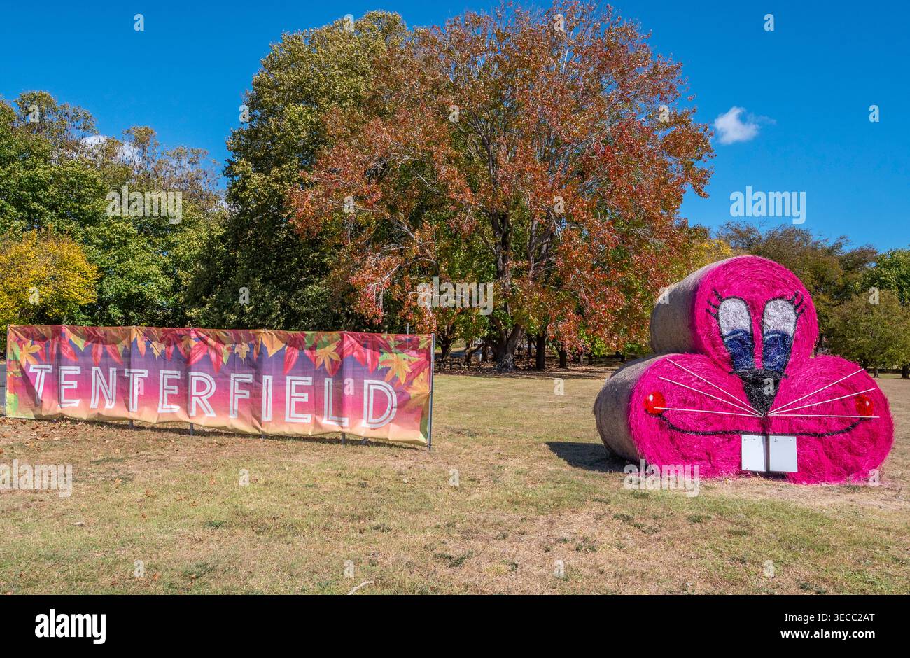 Hay Bale competition  in Tenterfield Stock Photo
