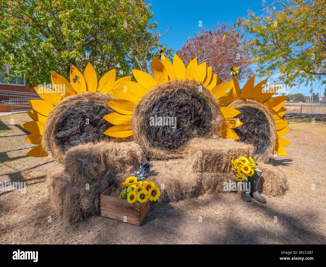 Hay Bale competition  in Tenterfield Stock Photo