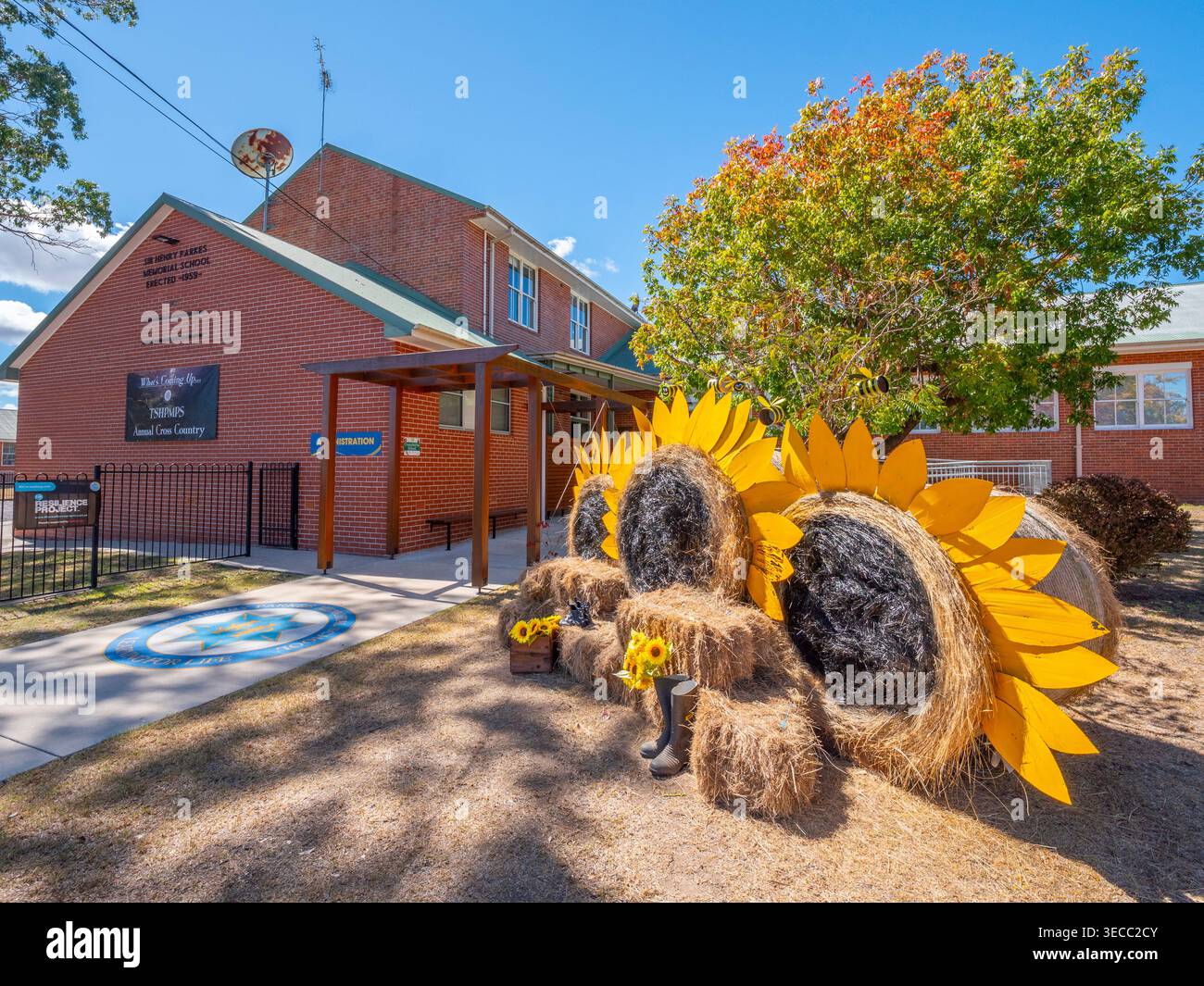 Hay Bale competition in Tenterfield Stock Photo
