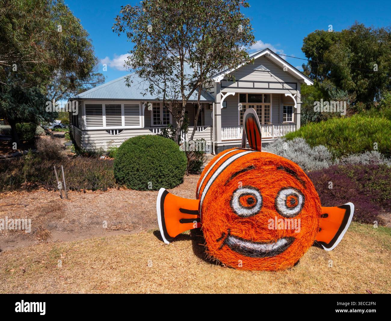 Hay Bale competition  in Tenterfield Stock Photo