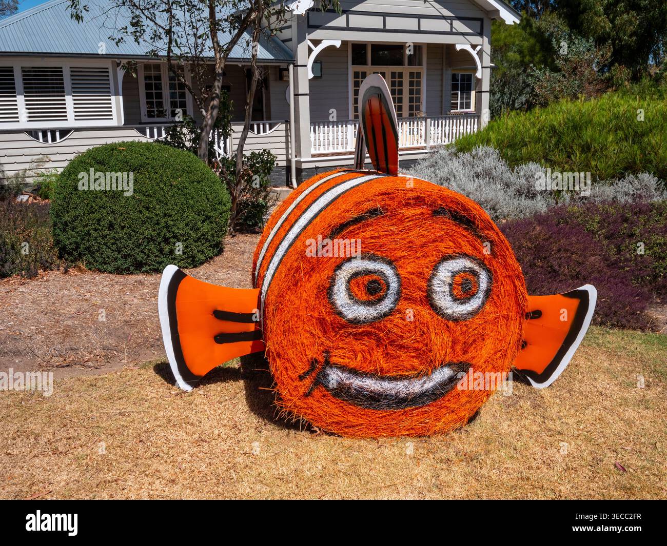 Hay Bale competition in Tenterfield Stock Photo