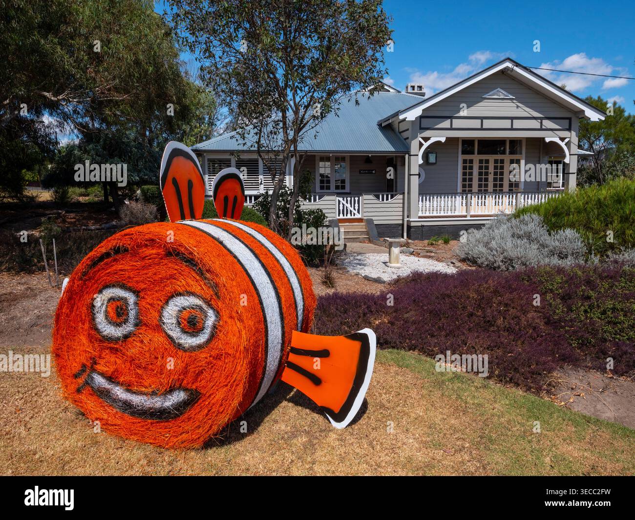 Hay Bale competition  in Tenterfield Stock Photo