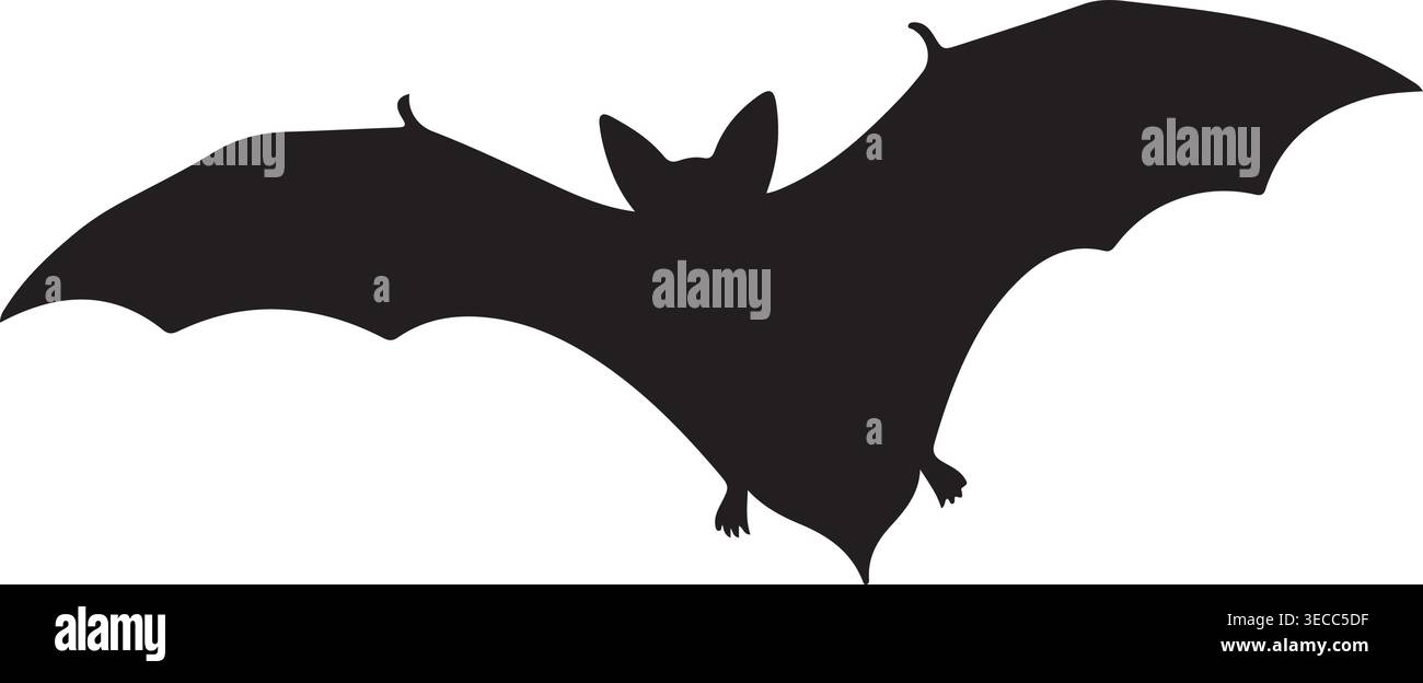 Flying Bat Silhouette Vector Illustration Isolated on White Background ...
