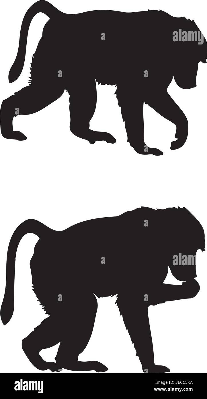 Baboon Silhouette Vector Illustration Bundle Isolated on White Background Asset Art Stock Vector