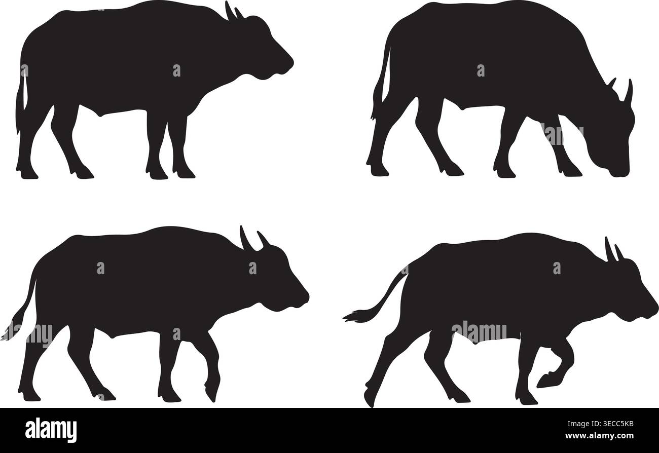 Buffalo Silhouette Vector Illustration Bundle Isolated on White Background Asset Art Stock Vector