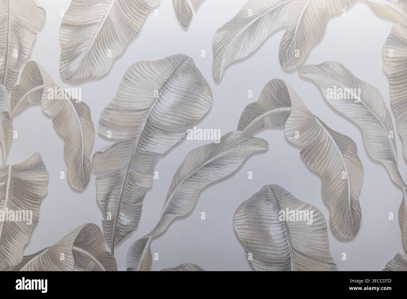 Subtle botanical leaf pattern on light grey wallcovering Stock Photo