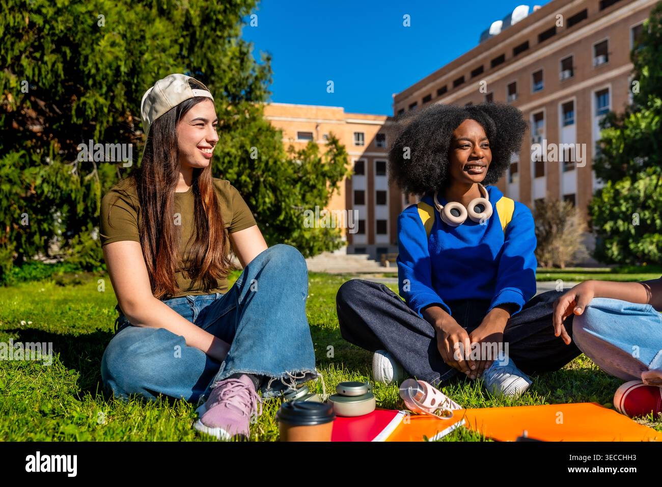 Diverse students relaxing and learning together on university campus Stock Photo