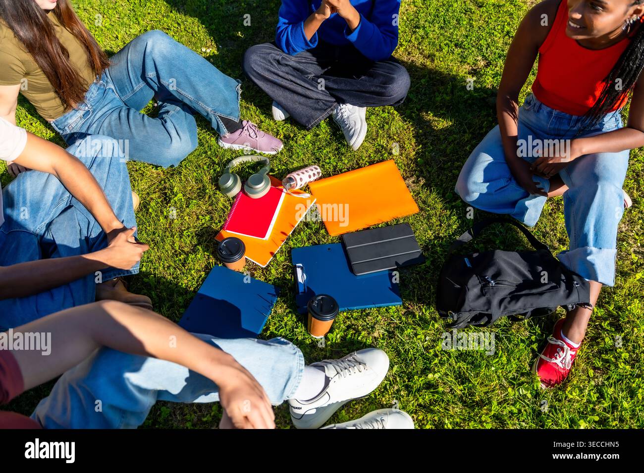 Diverse students studying together on university campus grass Stock Photo