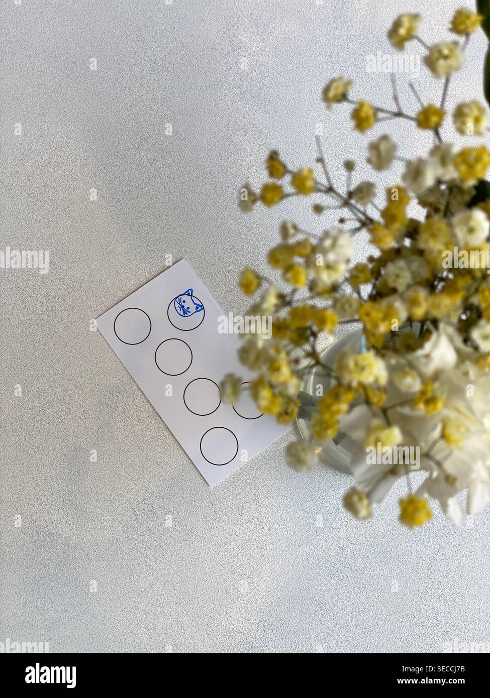 Loyalty card on table with flowers, soft daylight, minimal cafe aesthetic scene Stock Photo