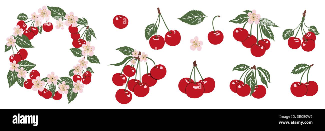 Cherry set with branches, berries, pink blossoms Stock Vector