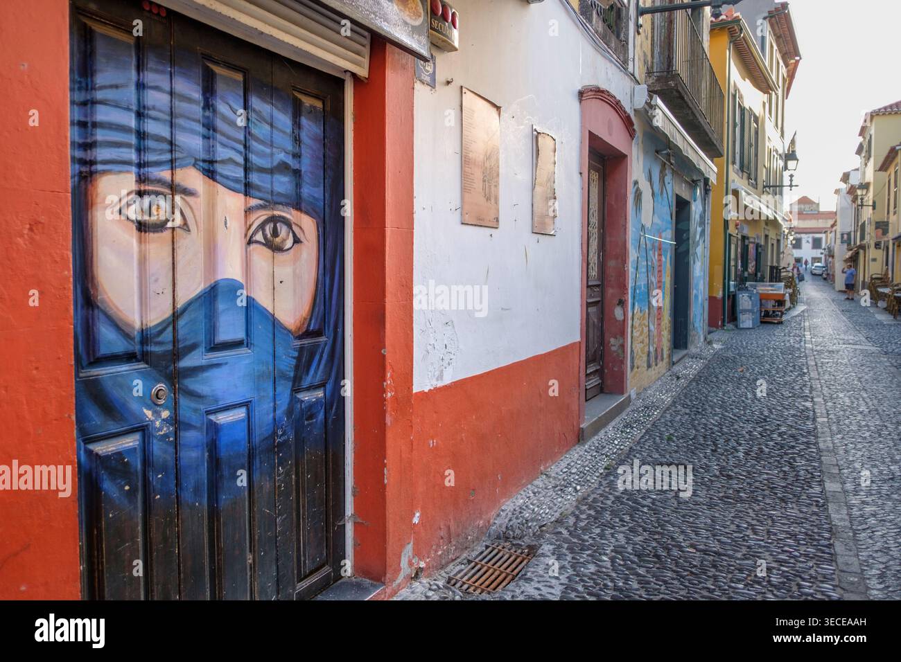 A painted door as part of The Art of Open Doors along the Rua de Santa Maria in Funchal, Madiera october 2024 Stock Photo