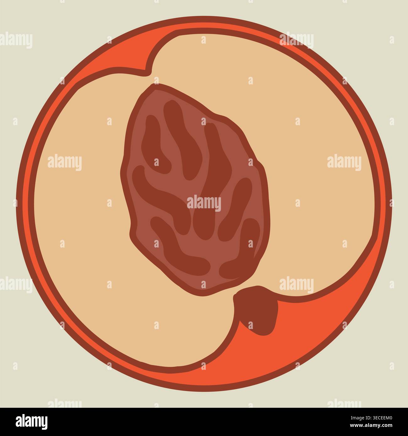 Peach half with stone vector flat illustration Stock Vector