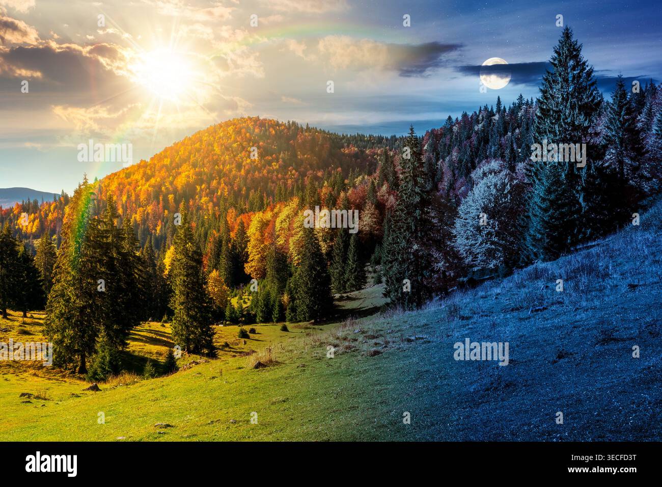 day meet night. fir trees on a meadow down the hill to coniferous forest in mountains of Romania nature. sun and moon over view of remote colorful for Stock Photo