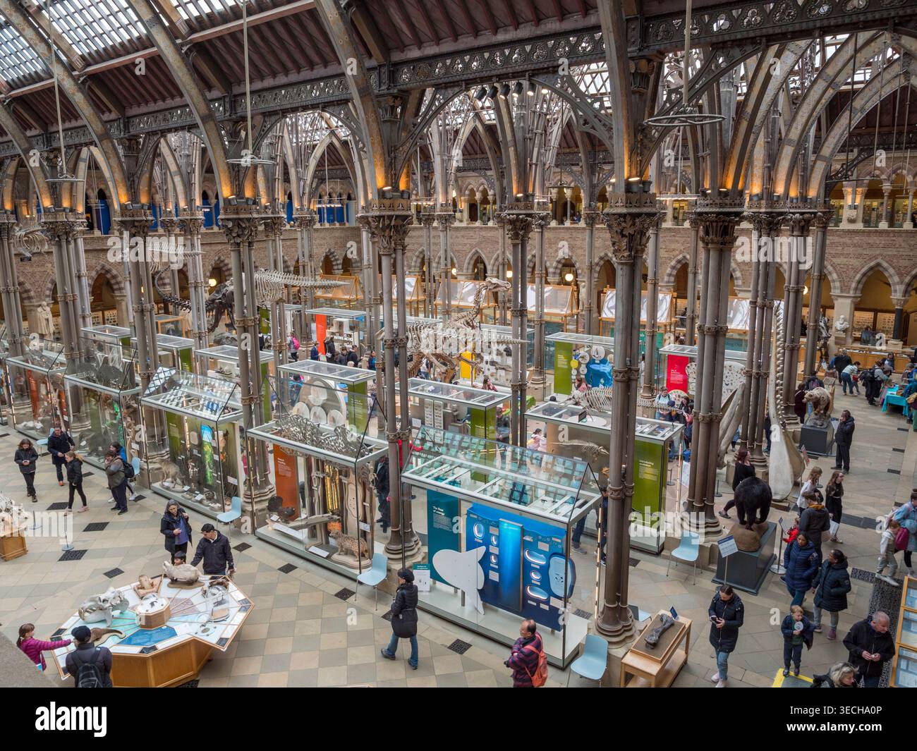 Pitt Rivers Rings General view inside the Pitt Rivers Museum, Oxford, UK Stock Photo - Alamy