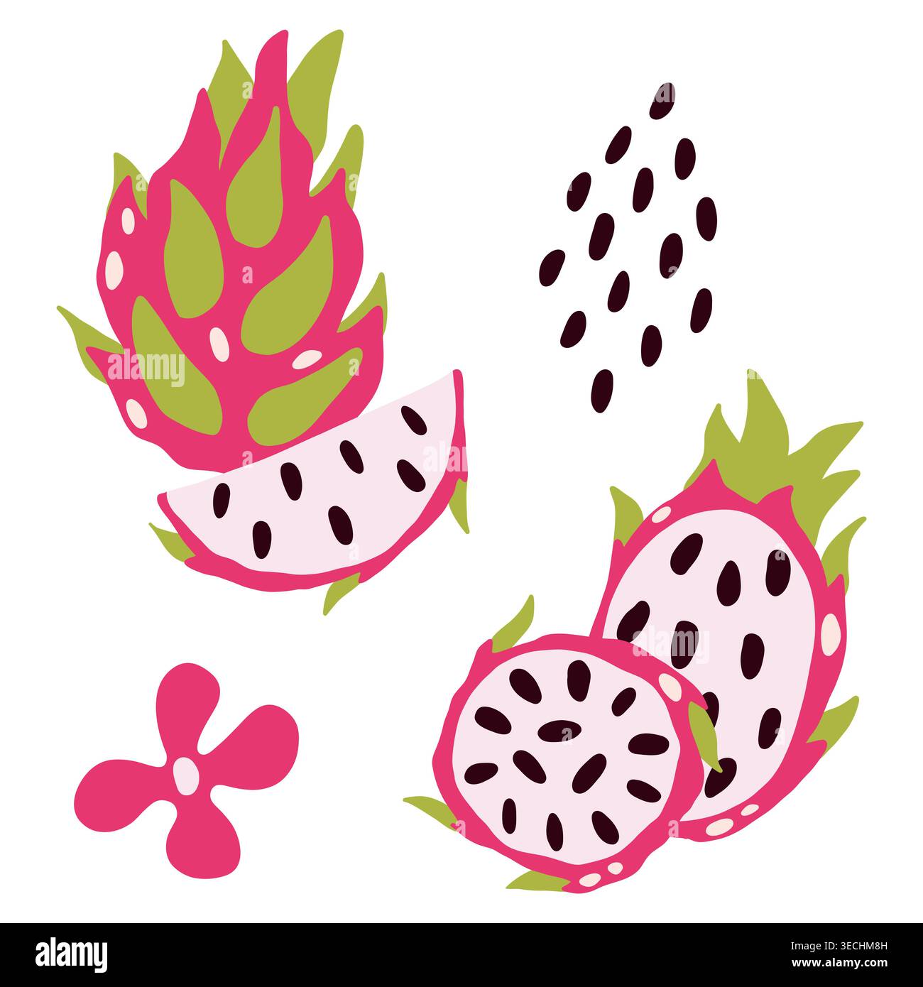 Vector dragon fruit on a light background. Exotic fruit, Pitahaya, set, piece, element Stock Vector
