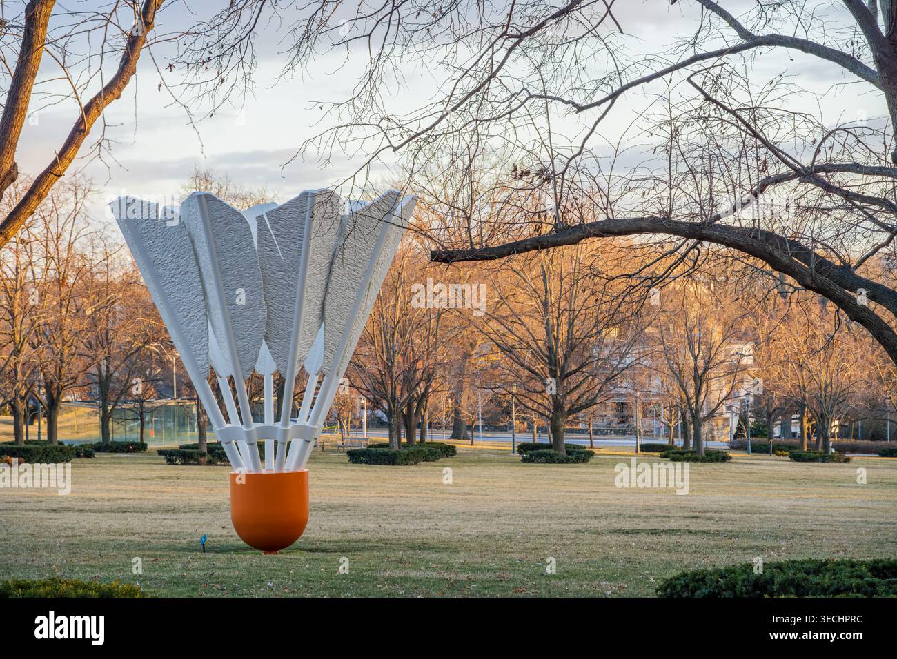 Shuttlecork Base Leafless trees sits hi-res stock photography and images - Alamy
