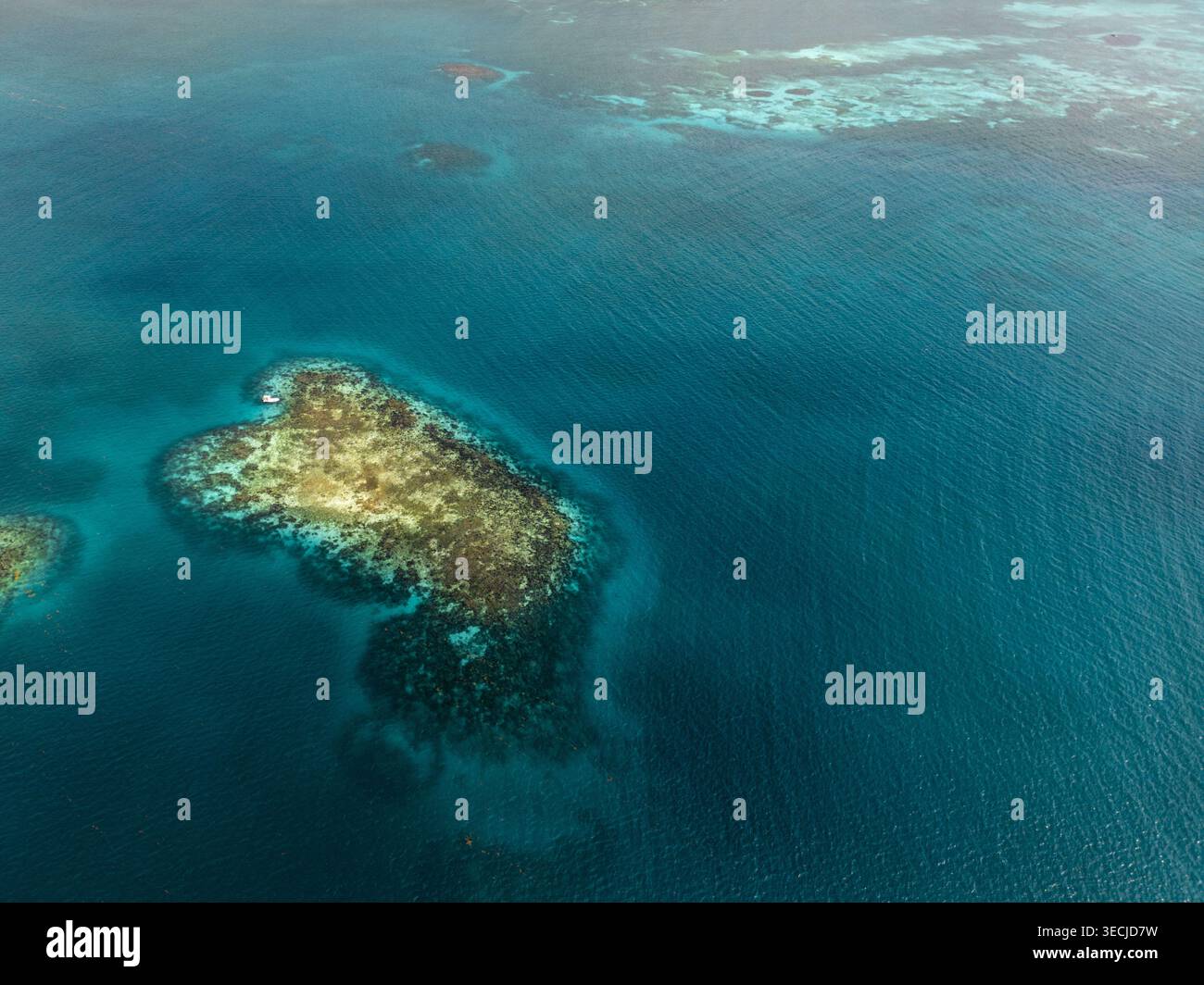 Aerial view of vibrant coral reefs and turquoise ocean waters under ...