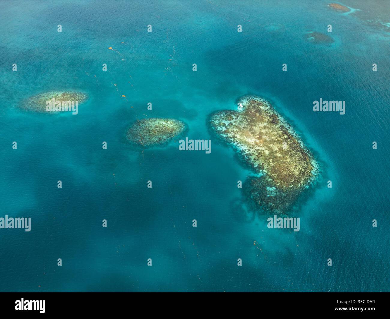 Aerial view of coral reefs and turquoise ocean water under bright ...