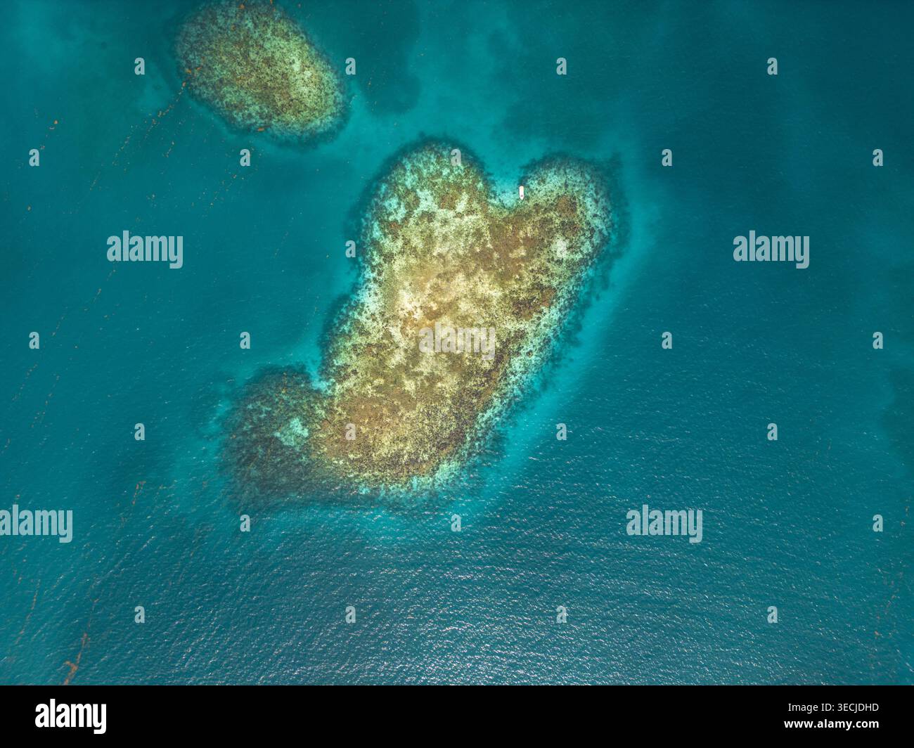 Aerial view of vibrant coral reefs and a small boat in the turquoise ...