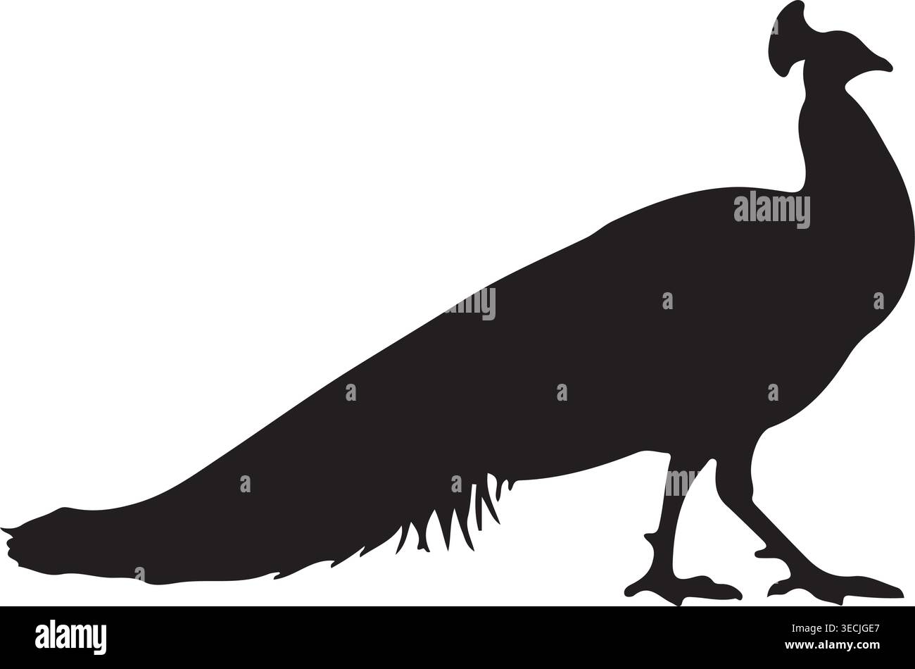 Side View Peacock Silhouette with Long Tail Minimal Black Vector Stock Vector