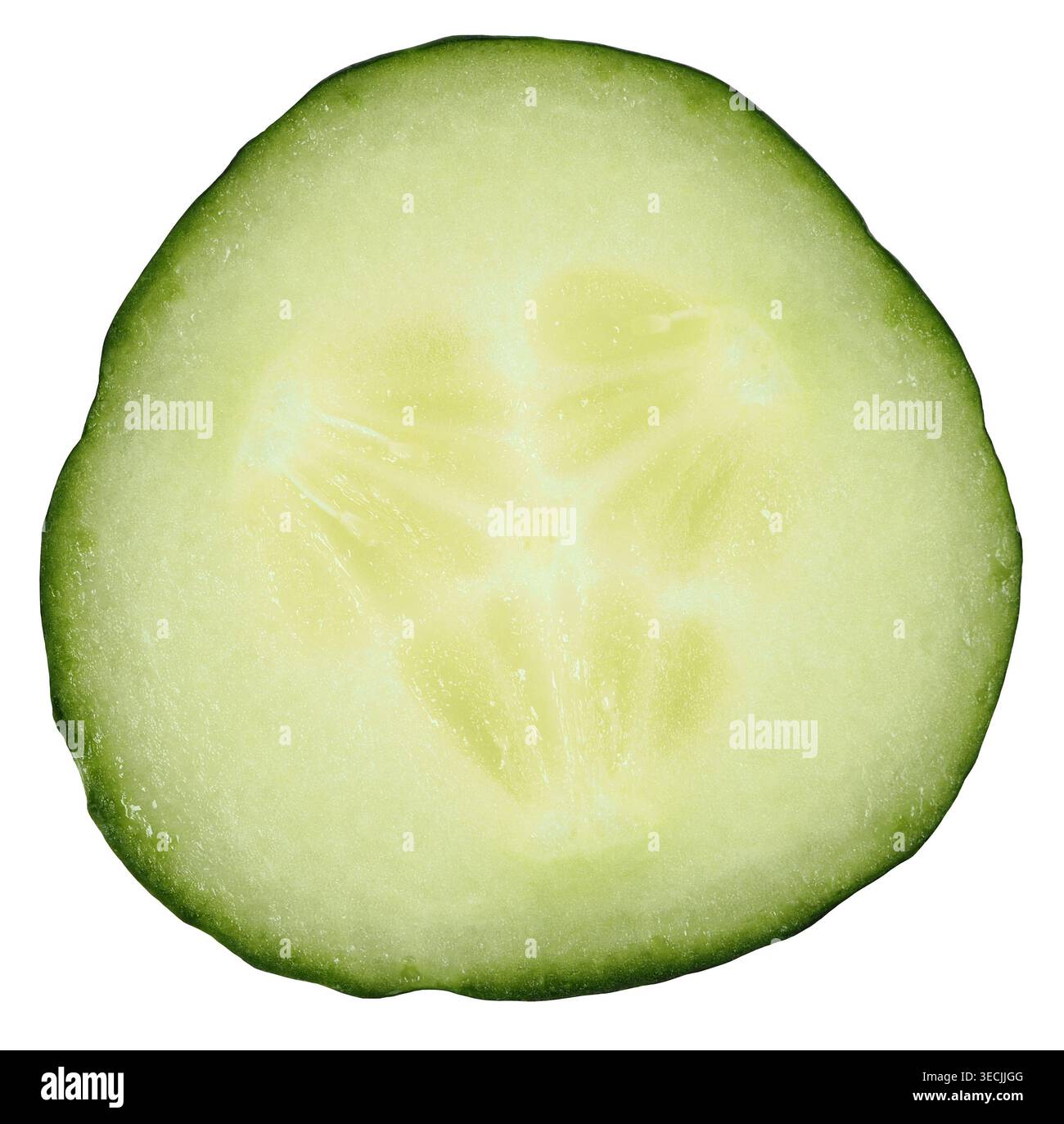 Cucumber slice isolated on white background Stock Photo