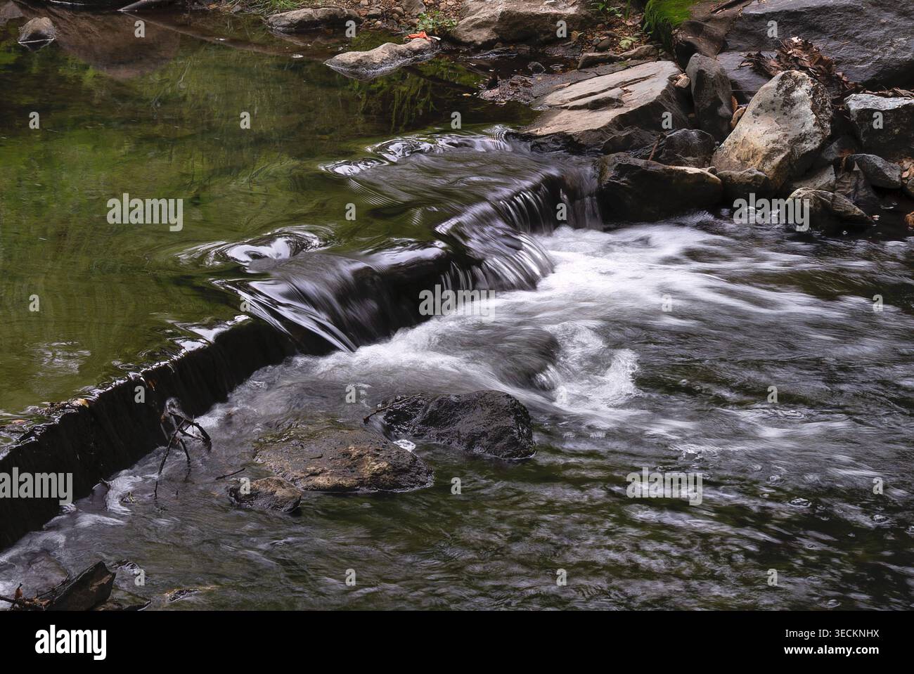 River flow through dense forest hi-res stock photography and images - Alamy