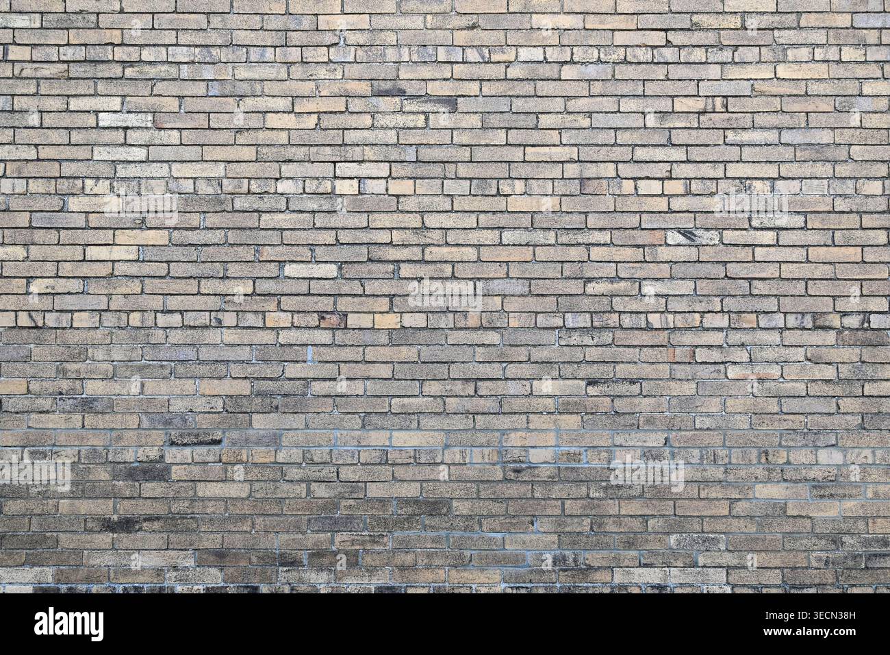 old yellow bricks weathered with texture background Stock Photo