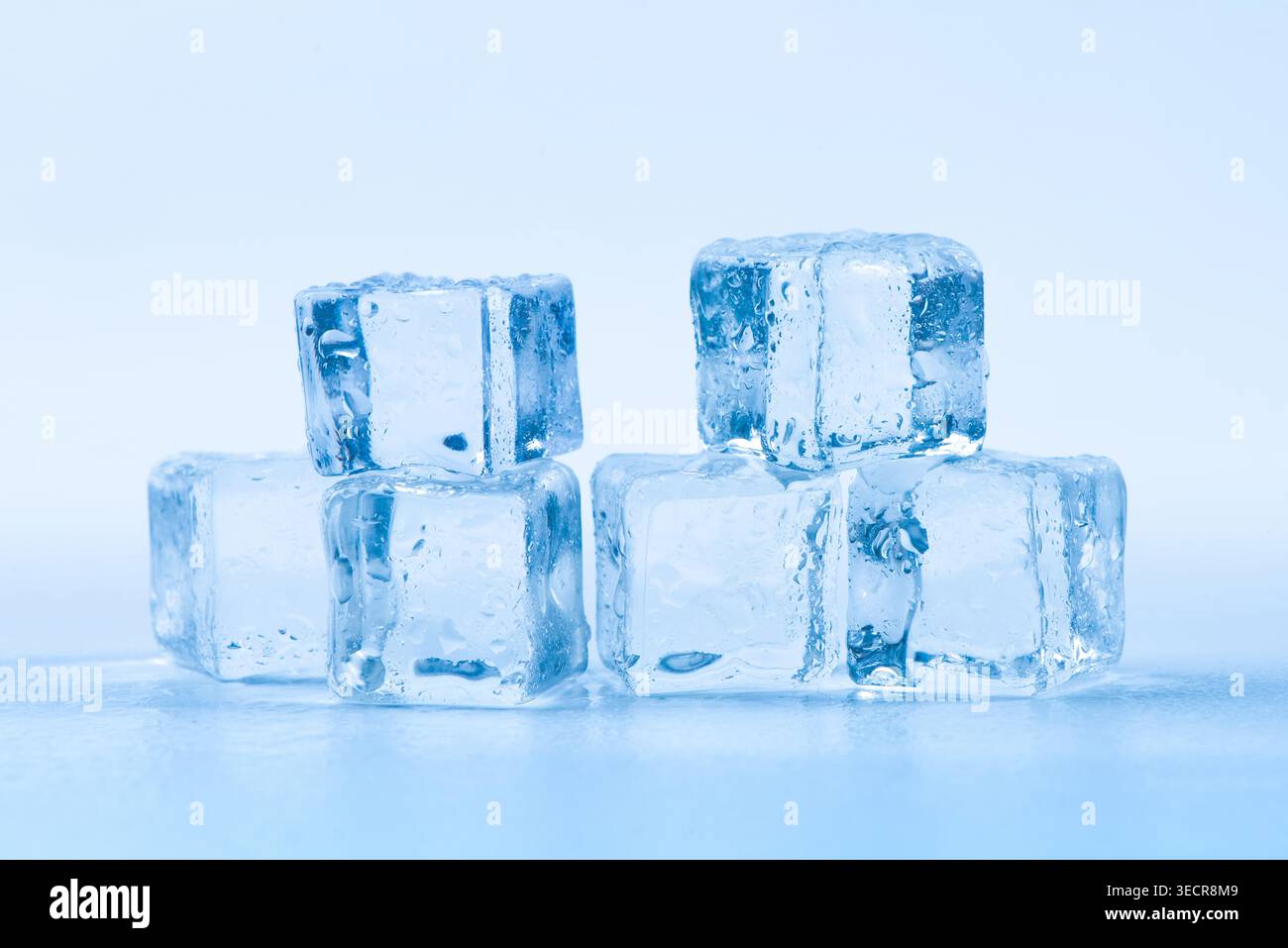 Clear ice cubes melting on a light blue background creating freshness Stock Photo