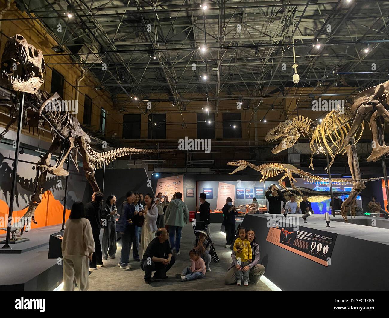 Rex China (260502) -- BEIJING, May 2, 2026 (Xinhua) -- People visit the