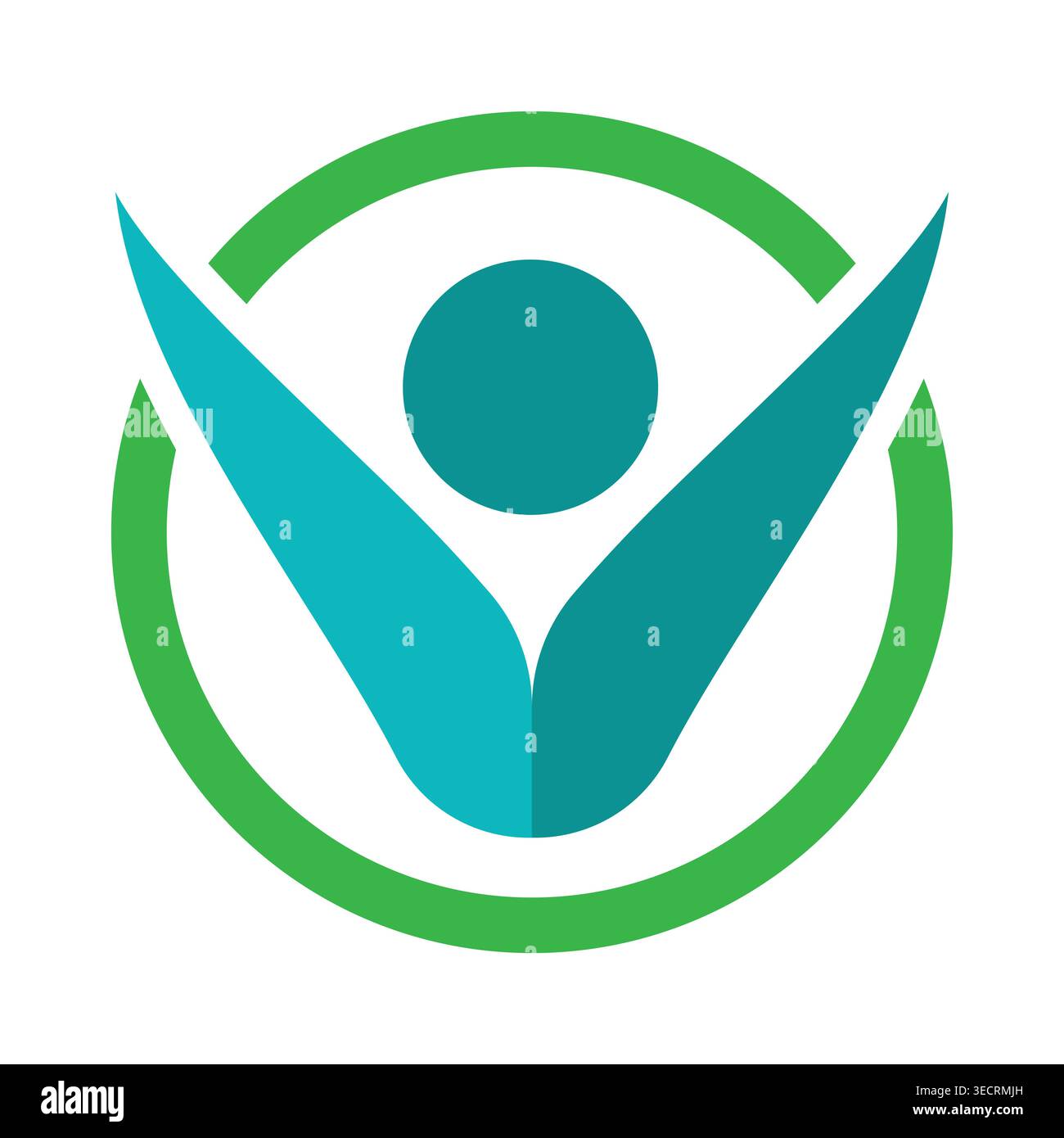 Letter v logo design and branding Stock Vector