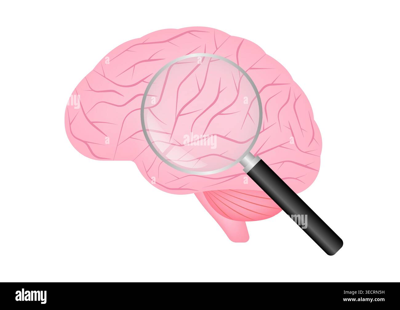 Human Brain with Magnifying Glass. Brain Analysis. Mental Health and ...