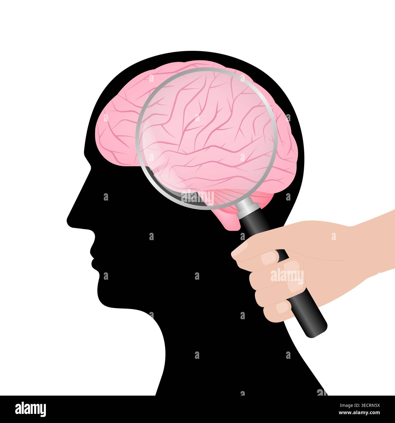 Human Brain with Magnifying Glass. Brain Analysis. Mental Health and ...